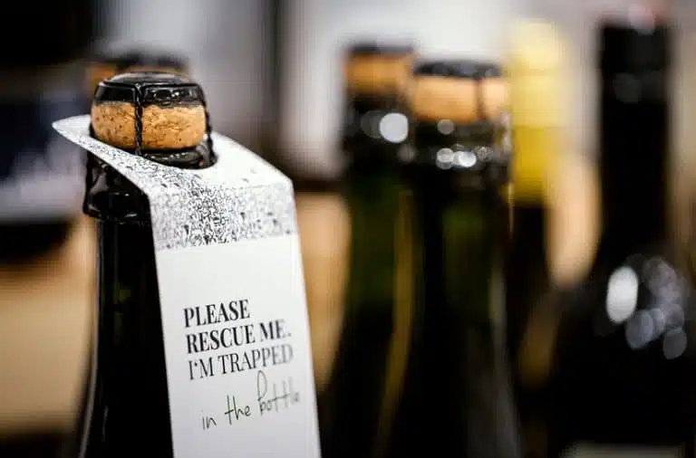 04 jpeg popup 6 768x506.jpg