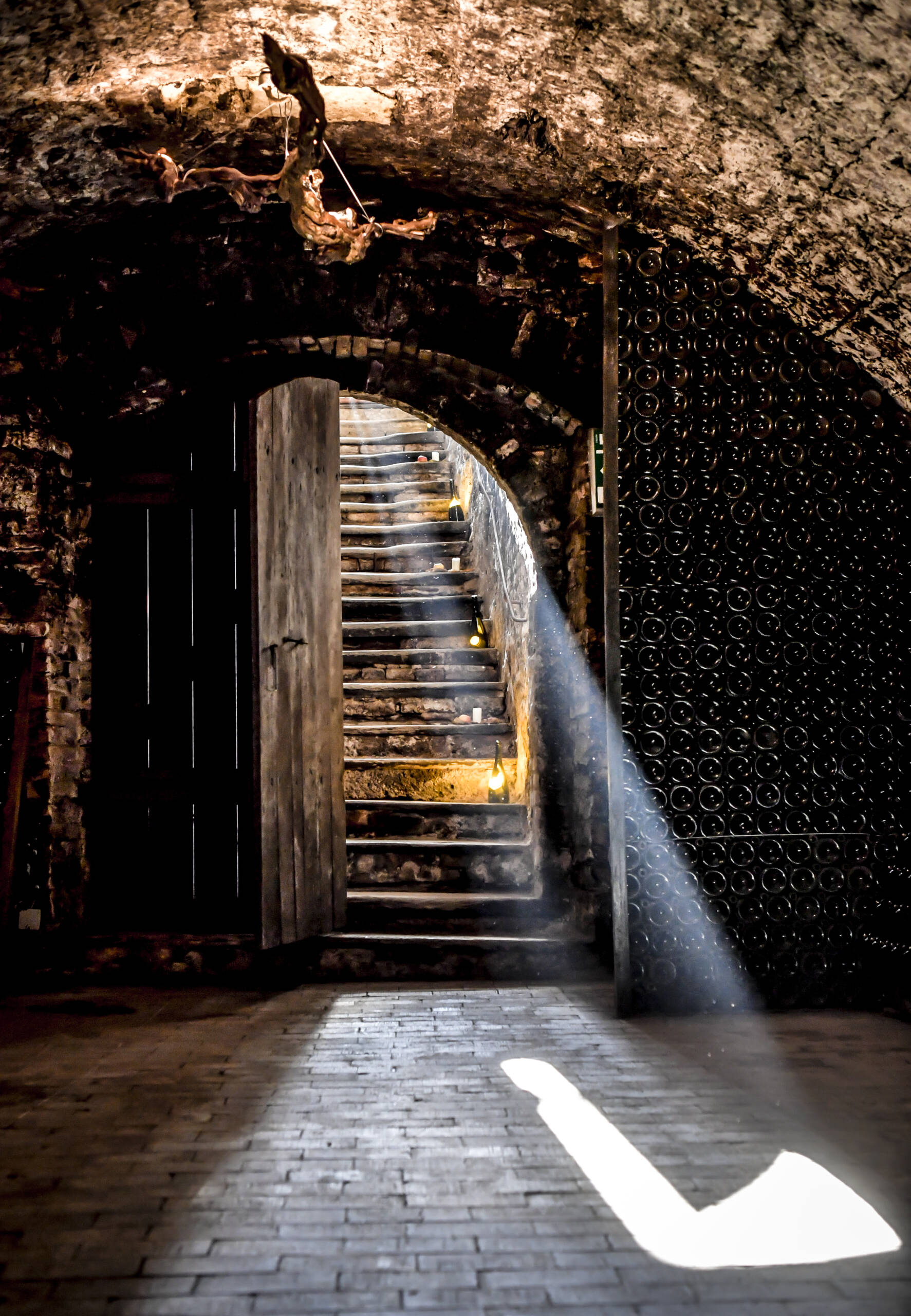 Steininger Weinwelt_Treppe in den Weinkeller ©Steininger Weinwelt_POV.at